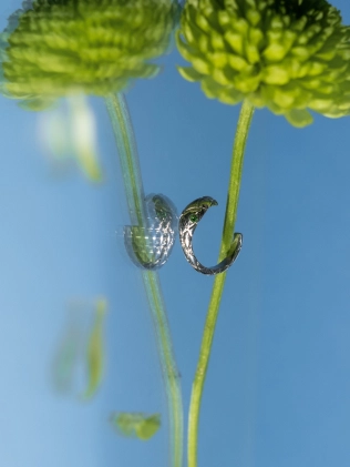 Сережки срібні Каффа Змія Youko 2